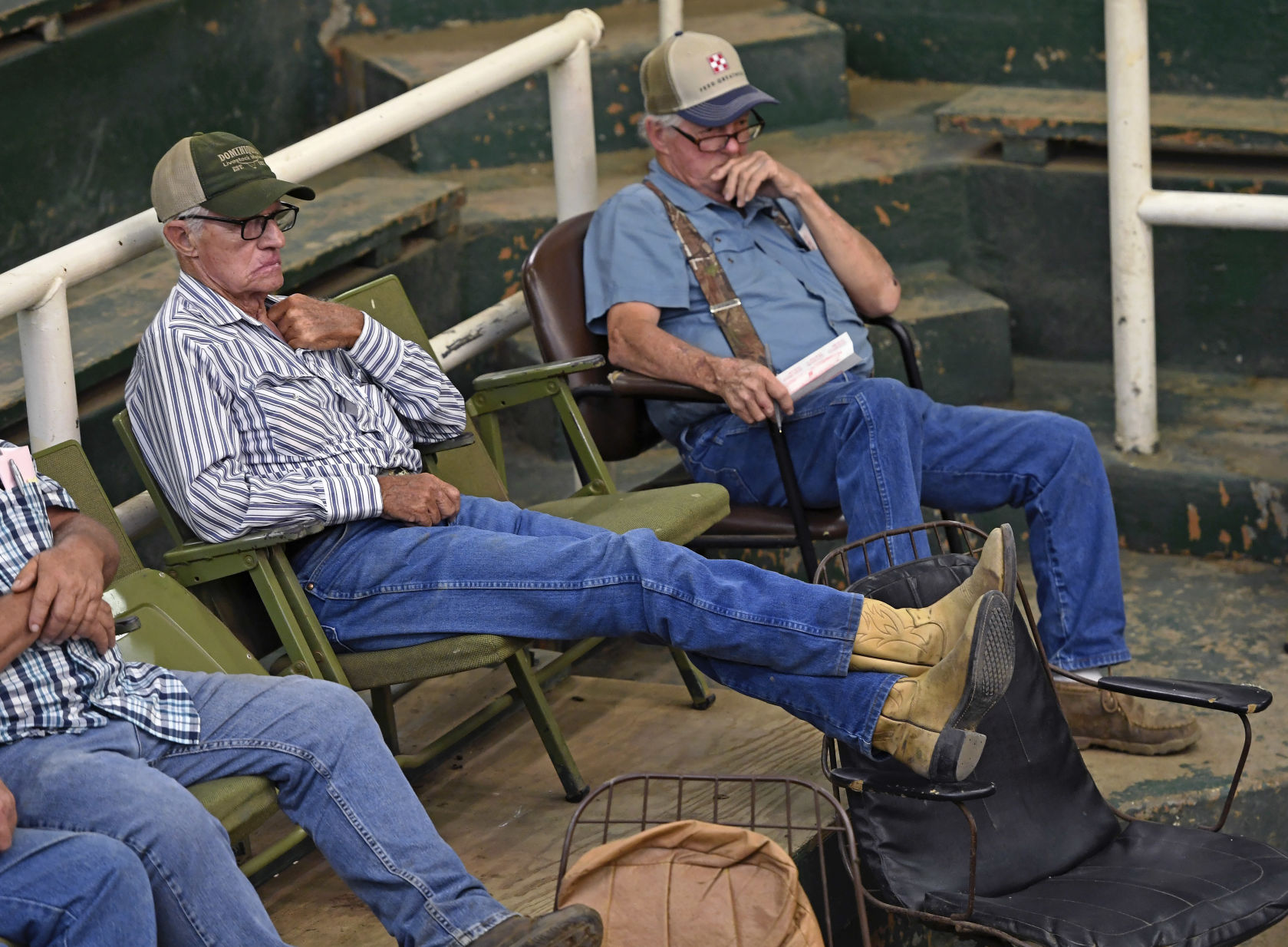 BR.wildstockyard0027.adv bf.jpg